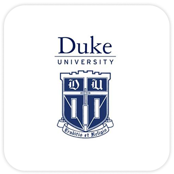 Partner university five