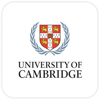 Partner university four