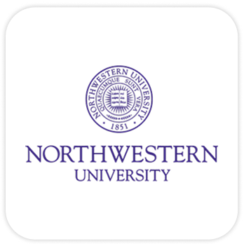 Partner university six
