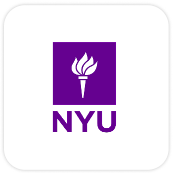Partner university three