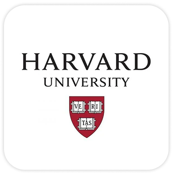 Partner university two